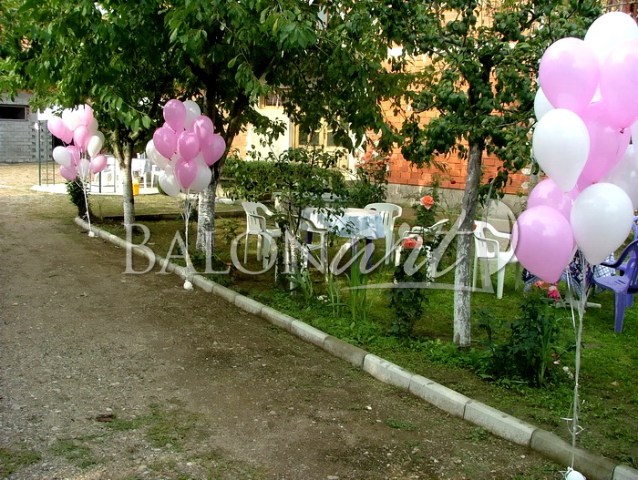vencanja062